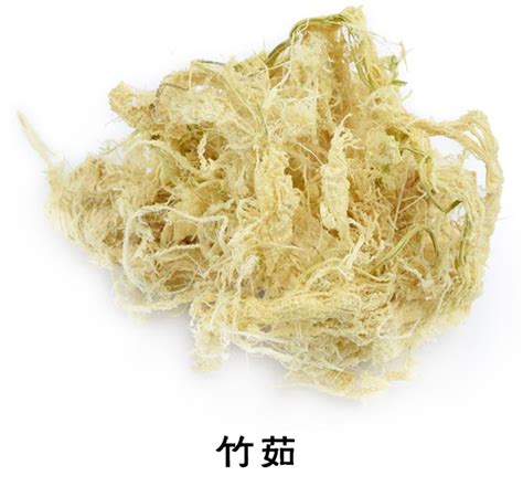 蘆茹|芦茹是什么中药